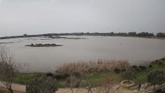 23-02-19 HU Almonte 2 El Rocio